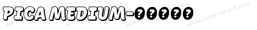 Pica Medium字体转换